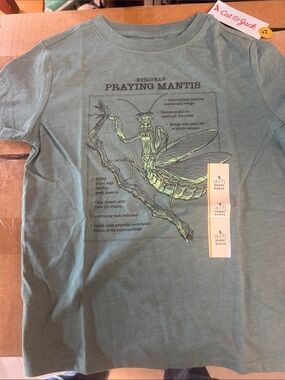 Cat & Jack Green Praying Mantis Graphic Tee